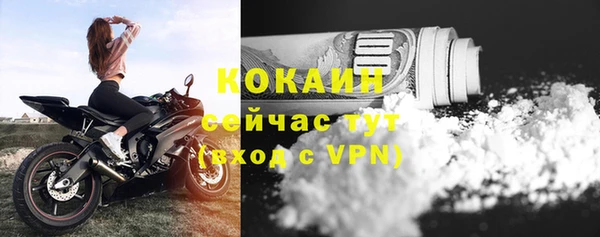 эйфоретик Осинники
