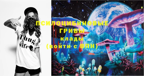 эйфоретик Осинники