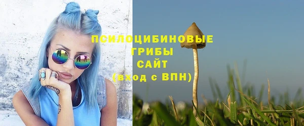 гидра Всеволожск