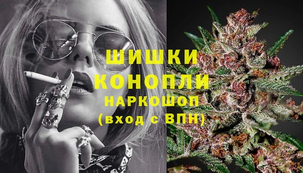 шишки Остров