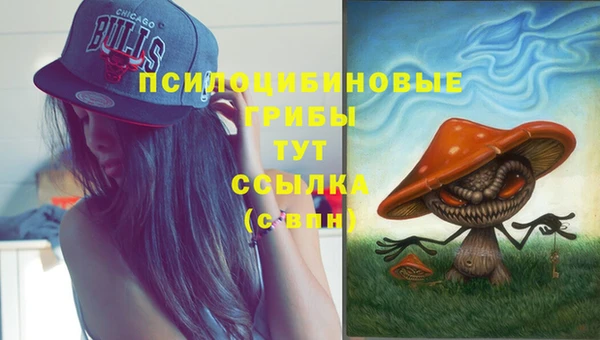 эйфоретик Осинники
