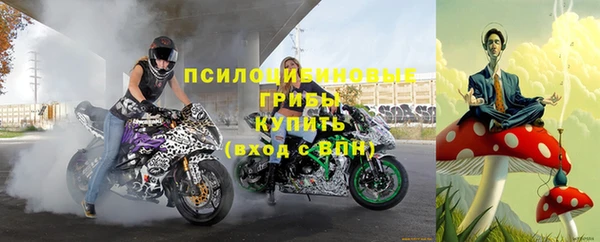 эйфоретик Осинники
