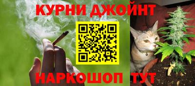 ПСИЛОЦИБИНОВЫЕ ГРИБЫ Берёзовский