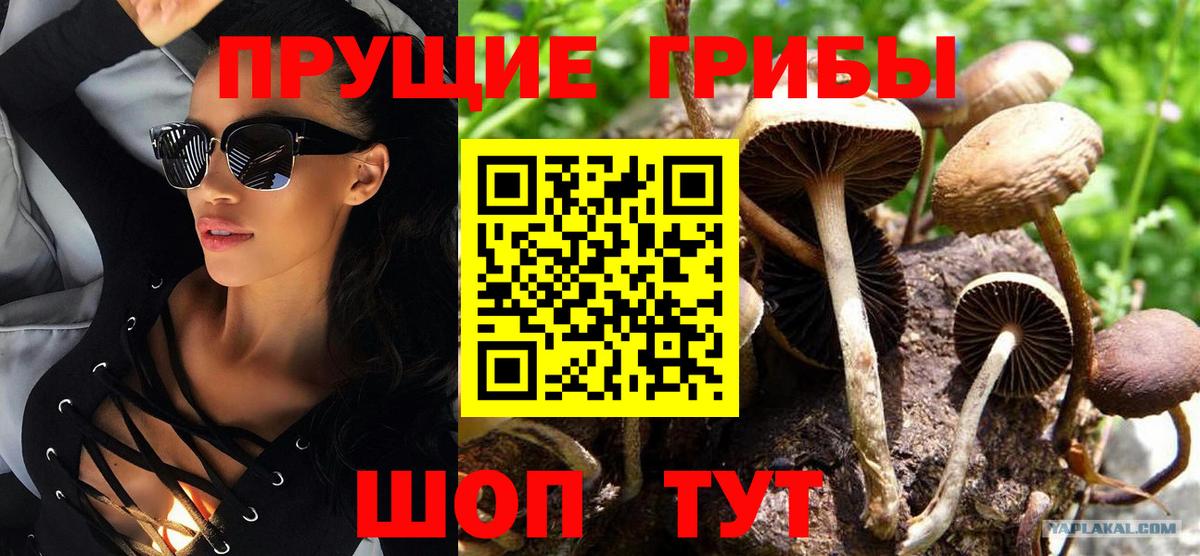 Бошки Шишки  Красноуфимск  A-PVP СК   Cocaine  ГАШИШ  Марихуана  Codein  Мефедрон кристаллы  Меф  Экстази  Вход с VPN 