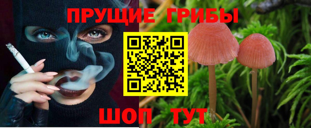 Галлюциногенные грибы MAGIC MUSHROOMS  даркнет сайт  Красноуфимск  Псилоцибиновые грибы мухоморы  Вход с VPN 